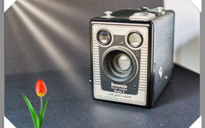 Brownie Six 20 Modelo E (1953)