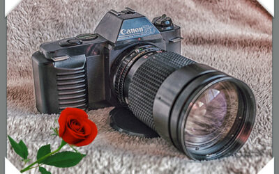 Canon T50 (1983)