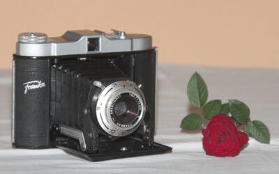 Franca Solida JR. (1953)