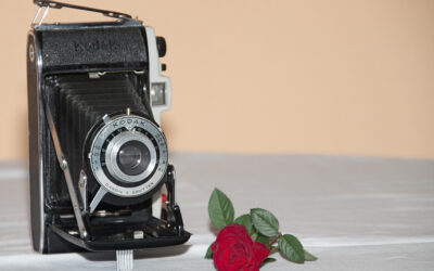 Kodak Junior 2 (1950)