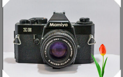 Mamiya ZE (1982)