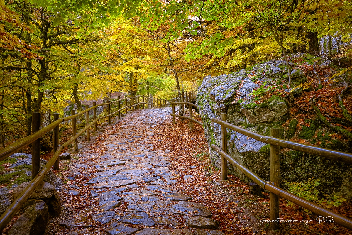 Muestra Canon Powershot G!