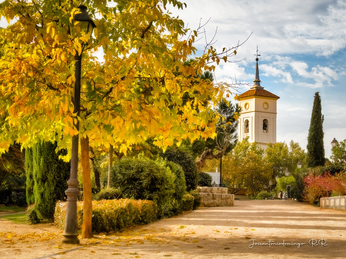 Muestra de Lumiix TZ99