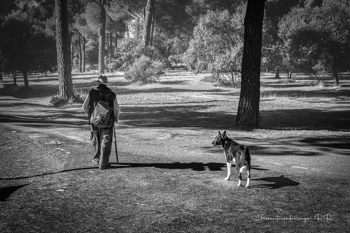 FOto de muestra Ricoh G3x